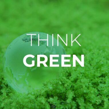 Imagen de portada para Are you willing to embrace green thinking?