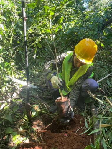 Imagen de portada para Nideport and challenges in biodiversity conservation