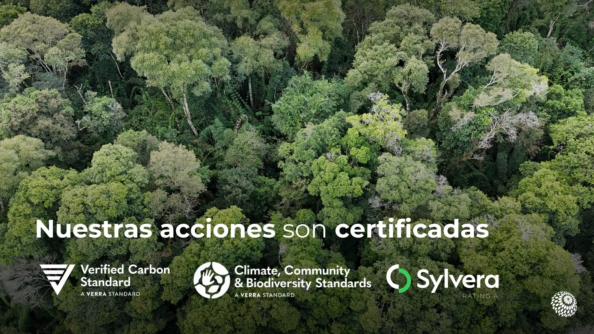 Imagen de portada para Nideport Achieves CCB Gold Certification and Earns an A Rating from Sylvera for Its Vida Nativa Project